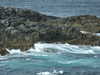 20200908154930-DSCF5463.JPG