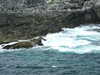 20200908154958-DSCF5466.JPG