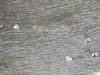 20200908160125-DSCN5178.JPG