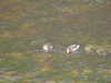 20200908160136-DSCN5179.JPG