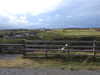 20200908160217-DSCN5182.JPG