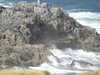 20200908160238-DSCN5184.JPG