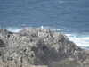 20200908160244-DSCN5185.JPG