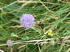 20200908160937-DSCF5474.JPG