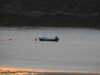 20200908194702-DSCN5195.JPG