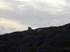 20200909185123-DSCN5227.JPG