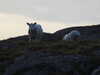 20200909185127-DSCN5228.JPG
