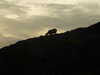 20200909185242-DSCF5476.JPG