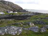 20200909185356-DSCN5231.JPG