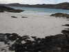 20200909191440-DSCN5233.JPG