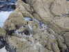 20200909191508-DSCN5237.JPG