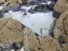 20200909191510-DSCN5238.JPG