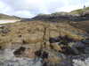 20200909191520-DSCN5240.JPG