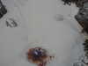 20200909191553-DSCN5243.JPG