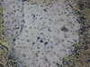 20200909191636-DSCN5247.JPG