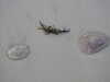 20200909192110-DSCN5266.JPG