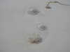 20200909192201-DSCN5269.JPG