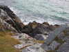 20200909193035-DSCN5285.JPG