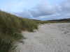 20200909193339-DSCN5290.JPG