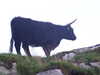 20200909194109-DSCF5509.JPG