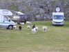 20200909194115-DSCN5296.JPG