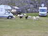 20200909194119-DSCN5297.JPG
