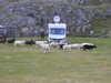 20200909194124-DSCN5298.JPG