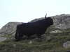 20200909194220-DSCN5303.JPG