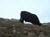 20200909194223-DSCN5304.JPG