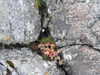 20200909194637-DSCN5311.JPG