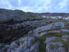20200909195002-DSCN5322.JPG