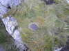 20200909195745-DSCN5334.JPG