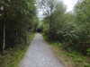 20200910143010-DSCN5339.JPG