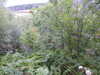 20200910143139-DSCN5341.JPG