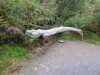 20200910143326-DSCN5342.JPG