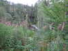 20200910143336-DSCF5527.JPG