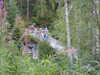 20200910143355-DSCN5343.JPG