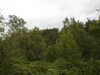 20200910143424-DSCN5344.JPG
