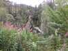 20200910143446-IMG_8602.JPG