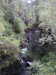 20200910143720-DSCN5349.JPG