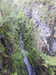 20200910143733-DSCN5351.JPG