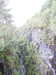 20200910143735-DSCN5352.JPG