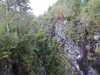 20200910143737-DSCN5353.JPG