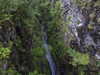 20200910143738-DSCN5354.JPG