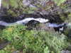 20200910143749-DSCN5356.JPG