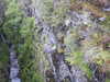 20200910143804-DSCN5359.JPG
