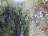 20200910143811-DSCN5360.JPG
