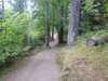 20200910144154-DSCN5366.JPG