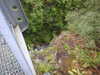 20200910144445-DSCN5369.JPG