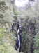 20200910144456-DSCN5370.JPG